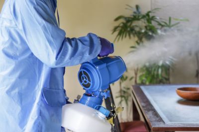 Commercial Fumigation in Toledo, OH