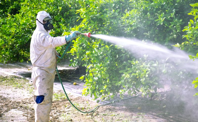 Fumigation Service in Woodbridge, VA