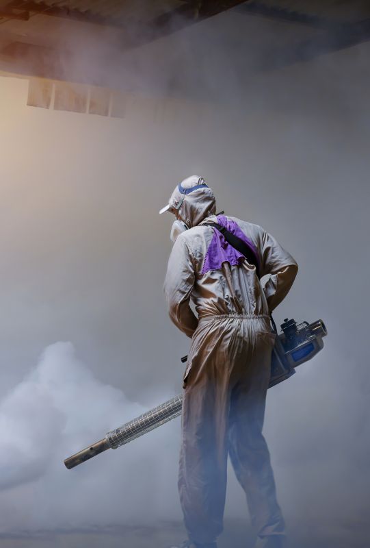Rat Fumigation Service in San Jose, CA