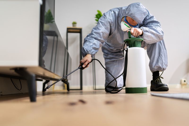 Rat Fumigation Service in Katy, TX