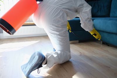 Residential Fumigation in San Jose, CA