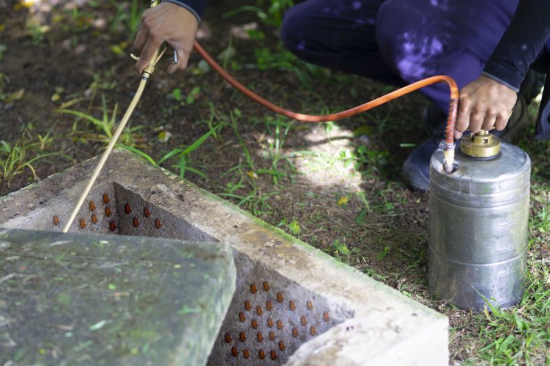 Roach Fumigation in Madison, WI