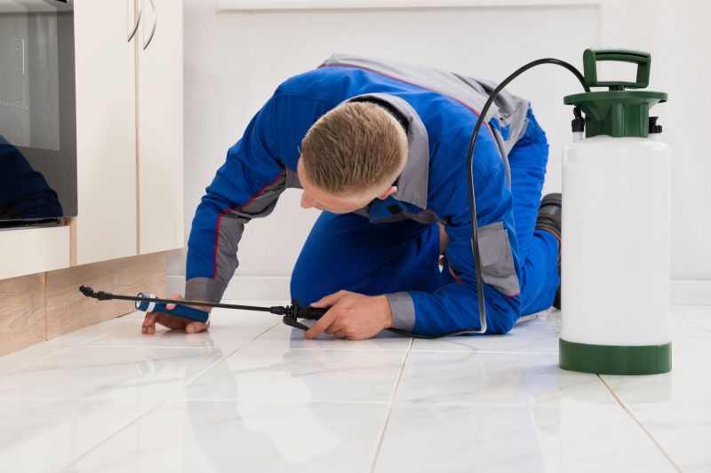 Bug Extermination Service in Frisco, TX