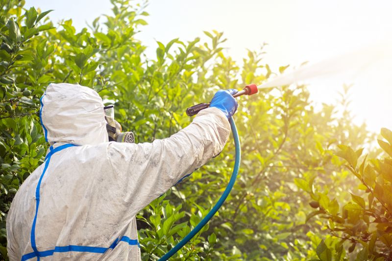 Commercial Fumigation in Fredericksburg, VA