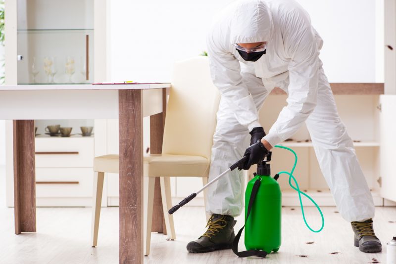 Pest Control Service in Frisco, TX