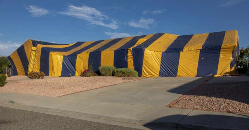 Tent Fumigation in Bellingham, WA