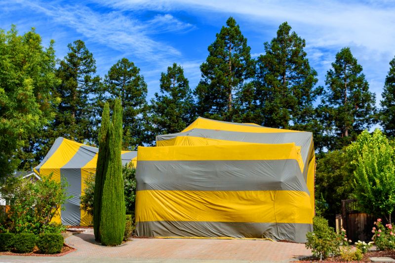 Termite Tenting in Davis County, UT